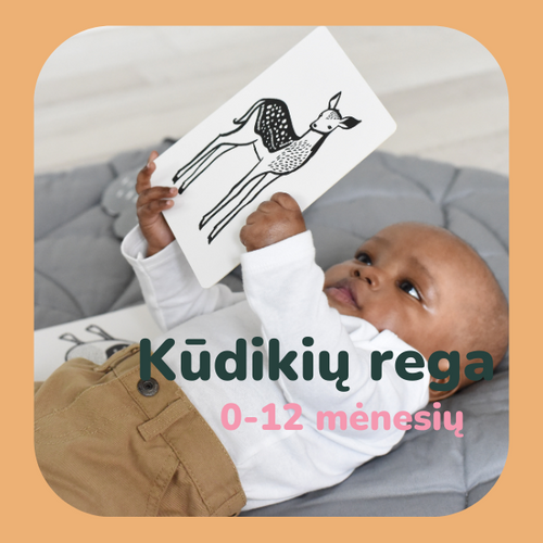 Kaip vystosi ir kaip lavinti vaiko regą pirmaisiais metais?