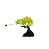 3D popierinis modelis - chameleonas